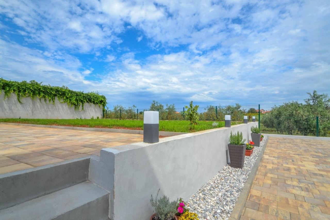 Apartment Kaplja Novigrad  Exterior photo