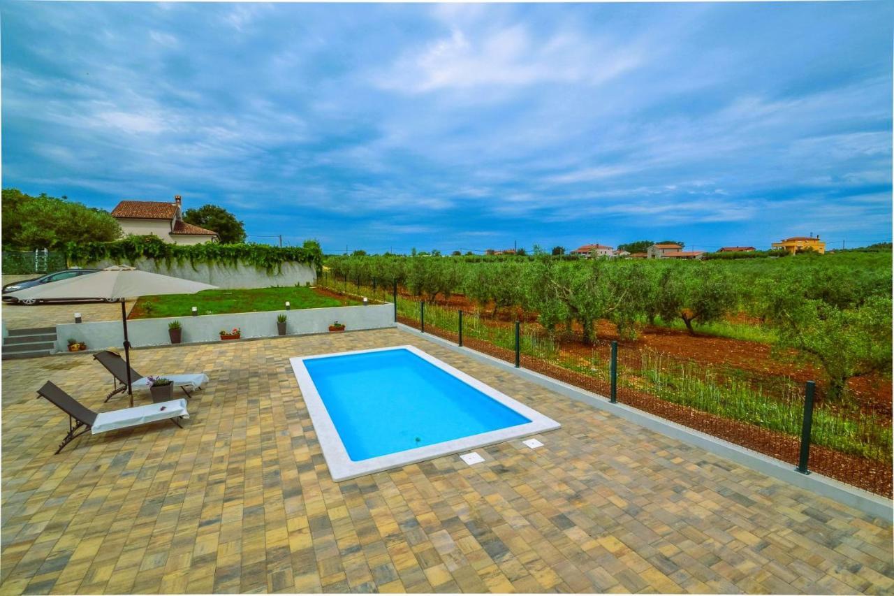 Apartment Kaplja Novigrad  Exterior photo