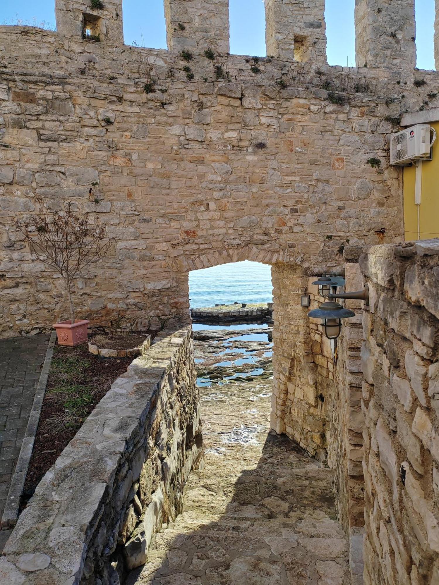 Apartment Kaplja Novigrad  Exterior photo